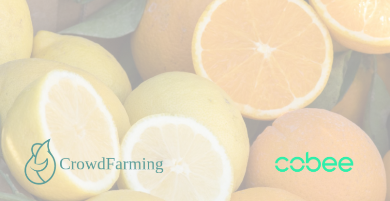 CrowdFarming, tierra fértil para la felicidad del empleado