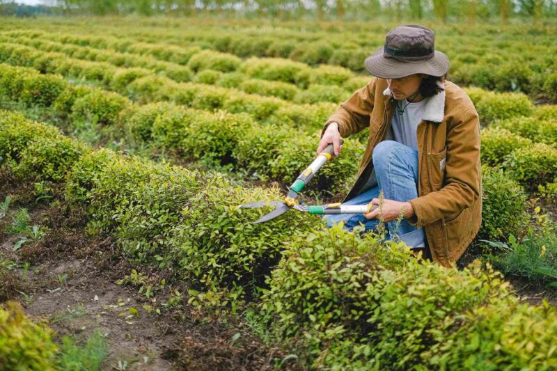 Trabajo informal en México: ¿Qué porcentaje representa?