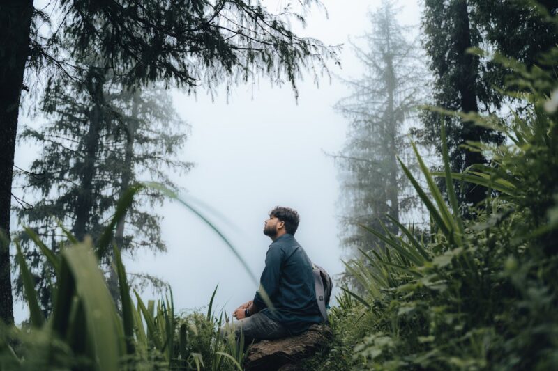 Baños de bosque: los beneficios de conectar con la naturaleza