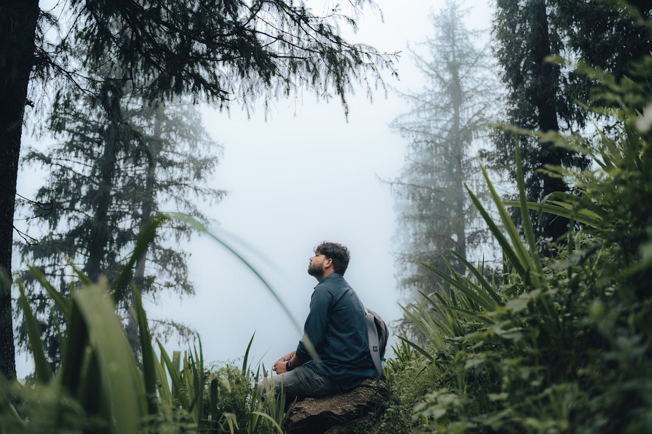 beneficios de los baños de bosque